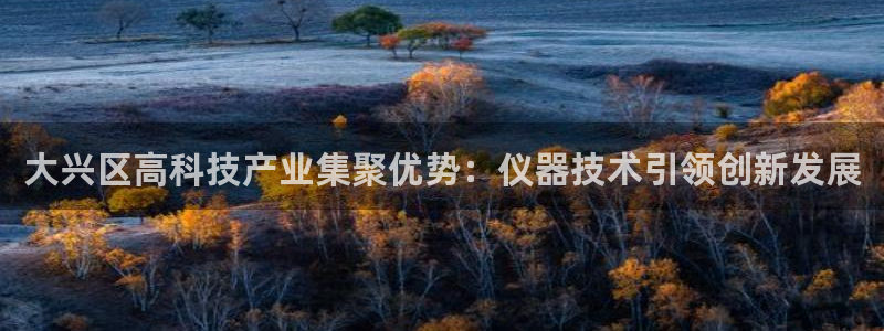 天宏娱乐石叔：大兴区高科技产业集聚优势：仪器技术引领创新发展