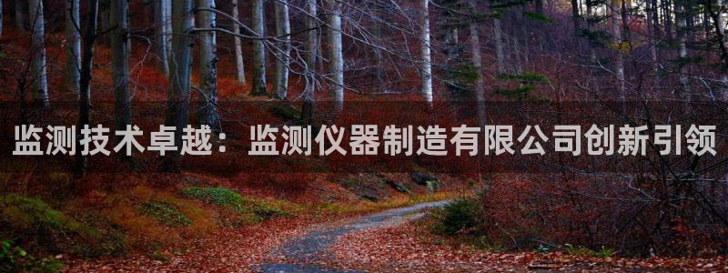 天宏娱乐q33300：监测技术卓越：监测仪器制造有限公司创新