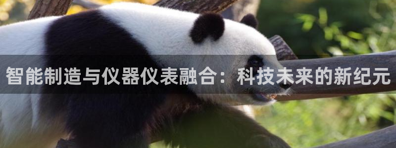 天宏娱乐平台注册：智能制造与仪器仪表融合：科技未来的新纪元