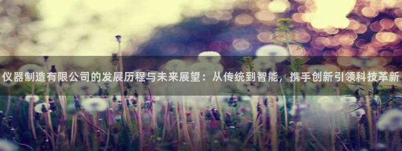 秦皇岛天宏娱乐：仪器制造有限公司的发展历程与未来展望：从传统