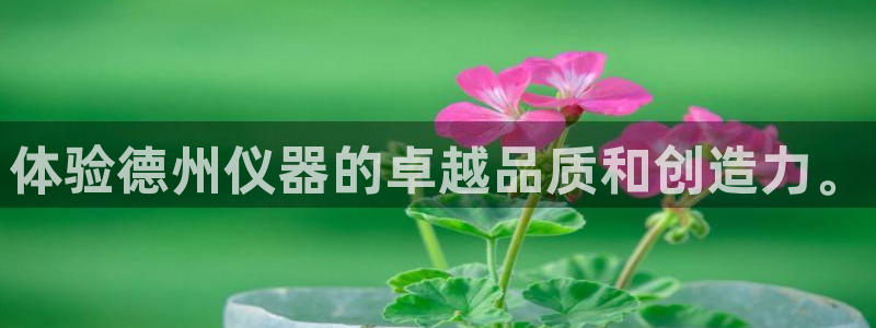 天宏娱乐app下载：体验德州仪器的卓越品质和创造力。