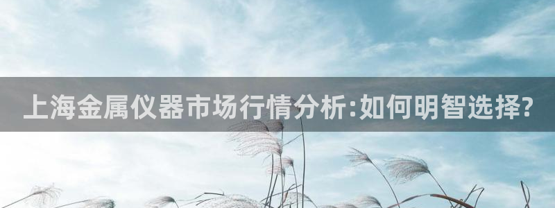 天宏娱乐2主管：上海金属仪器市场行情分析:如何明智选择?