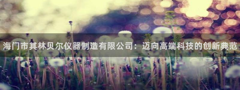 天宏娱乐是国企吗：海门市其林贝尔仪器制造有限公司：迈向高端科