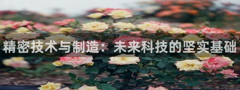 天宏娱乐q33300：精密技术与制造：未来科技的坚实基础