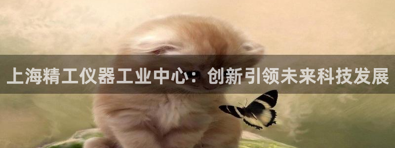 天宏娱乐实f力443593：上海精工仪器工业中心：创新引领未
