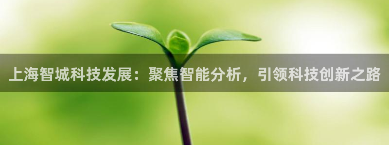 天宏娱乐平台下载：上海智城科技发展：聚焦智能分析，引领科技创