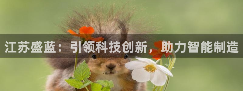 株洲天宏娱乐会所电话：江苏盛蓝：引领科技创新，助力智能制造