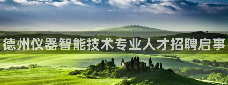 天宏娱乐李叔：德州仪器智能技术专业人才招聘启事