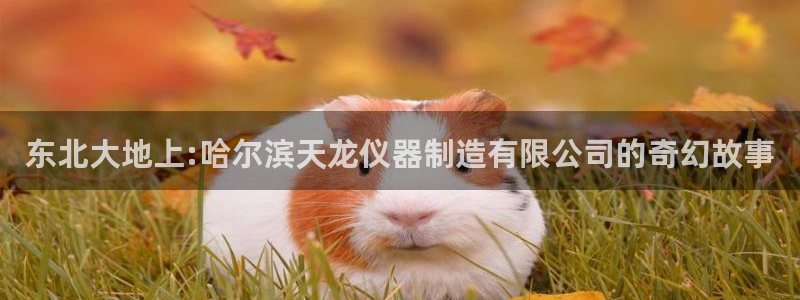 秦皇岛新闻宏天娱乐：东北大地上:哈尔滨天龙仪器制造有限公司的