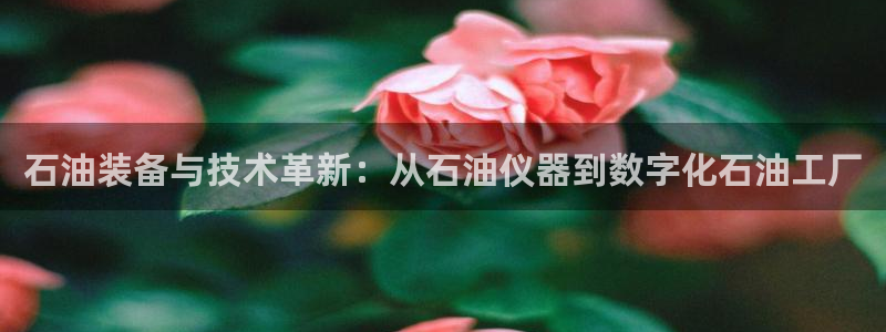 天宏娱乐主管：石油装备与技术革新：从石油仪器到数字化石油工厂