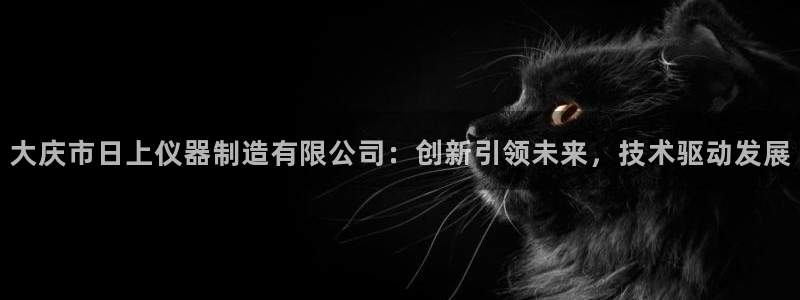 天宏娱乐李剑：大庆市日上仪器制造有限公司：创新引领未来，技术