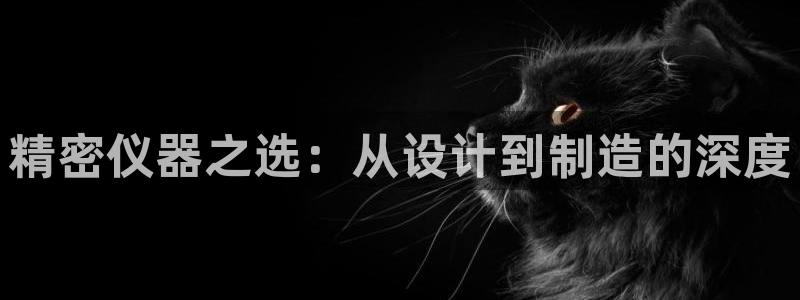 天宏娱乐玉海娱乐：精密仪器之选：从设计到制造的深度