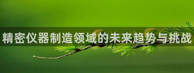 天宏2娱乐注册登录：精密仪器制造领域的未来趋势与挑战