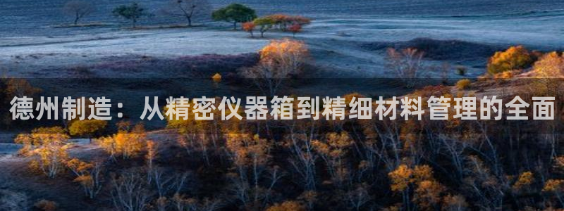 天宏娱乐公会：德州制造：从精密仪器箱到精细材料管理的全面