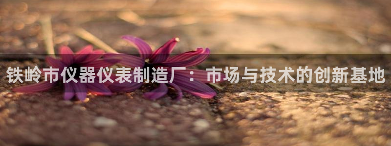 天宏3娱乐：铁岭市仪器仪表制造厂：市场与技术的创新基地