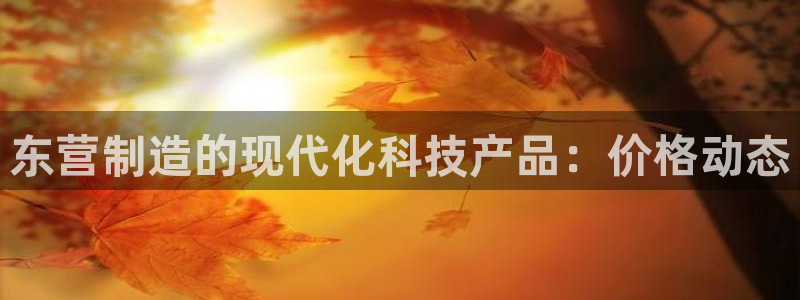 天宏娱乐 老板：东营制造的现代化科技产品：价格动态