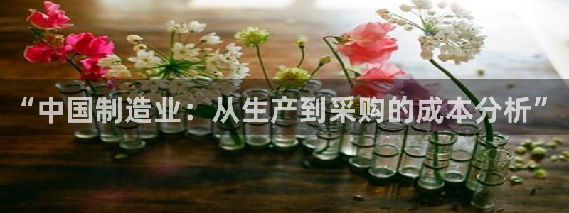 天宏娱乐抖音团播：“中国制造业：从生产到采购的成本分析”