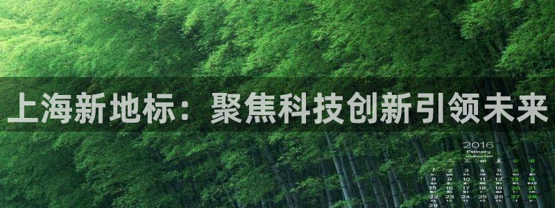 天宏娱乐河源店：上海新地标：聚焦科技创新引领未来