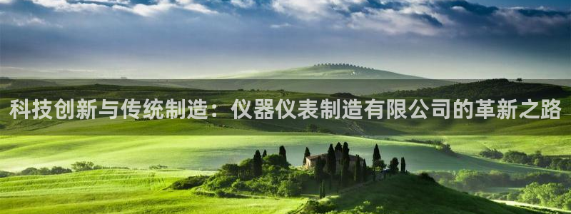 天宏娱乐老男孩团队：科技创新与传统制造：仪器仪表制造有限公司