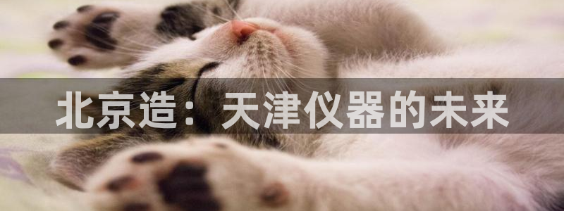 天宏娱乐季叔：北京造：天津仪器的未来