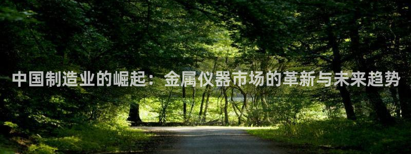 天宏娱乐小号：中国制造业的崛起：金属仪器市场的革新与未来趋势