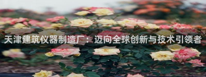 天宏娱乐主管：天津建筑仪器制造厂：迈向全球创新与技术引领者