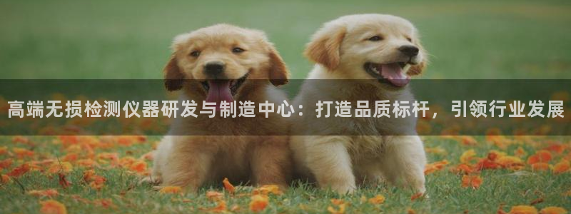 天宏娱乐大叔：高端无损检测仪器研发与制造中心：打造品质标杆，