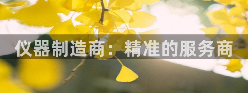 天宏娱乐小号怎么玩视频：仪器制造商：精准的服务商