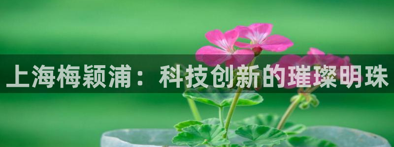 天宏娱乐招商主管招聘：上海梅颖浦：科技创新的璀璨明珠