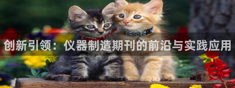 天宏娱乐平叔：创新引领：仪器制造期刊的前沿与实践应用