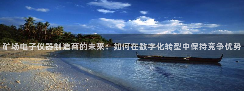 天宏娱乐天跃传媒：矿场电子仪器制造商的未来：如何在数字化转型