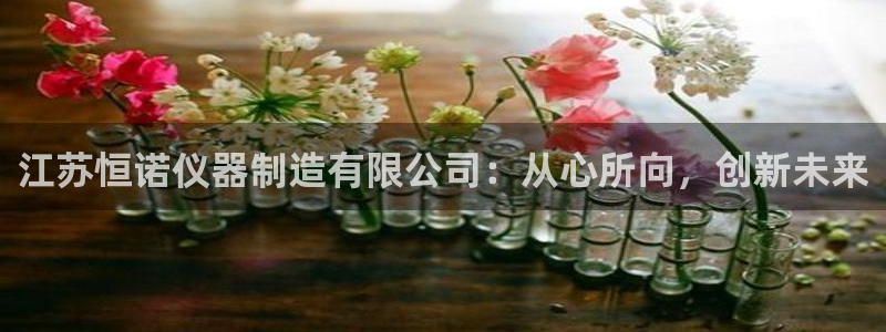 天宏娱乐吴叔抖音：江苏恒诺仪器制造有限公司：从心所向，创新未