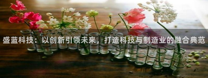 天宏娱乐满意hfqjwl下拉：盛蓝科技：以创新引领未来，打造