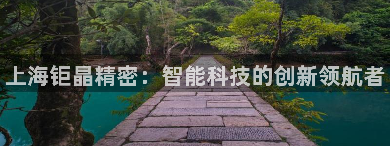 天宏娱乐有限公司：上海钜晶精密：智能科技的创新领航者