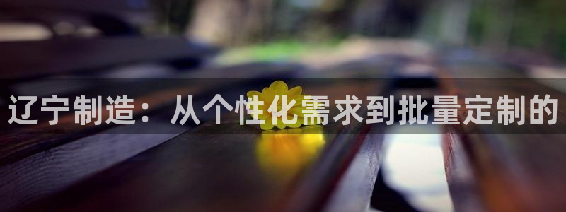 天宏娱乐会所电话多少：辽宁制造：从个性化需求到批量定制的