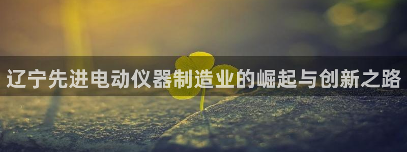 天宏娱乐官网平台注册：辽宁先进电动仪器制造业的崛起与创新之路