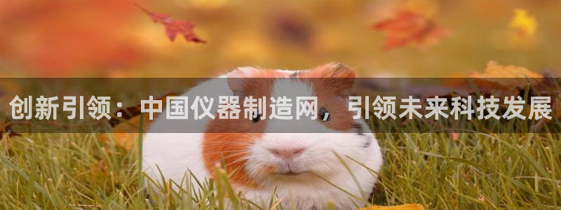 天宏娱乐团购活动时间：创新引领：中国仪器制造网，引领未来科技