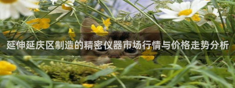 天宏娱乐66：延伸延庆区制造的精密仪器市场行情与价格走势分析