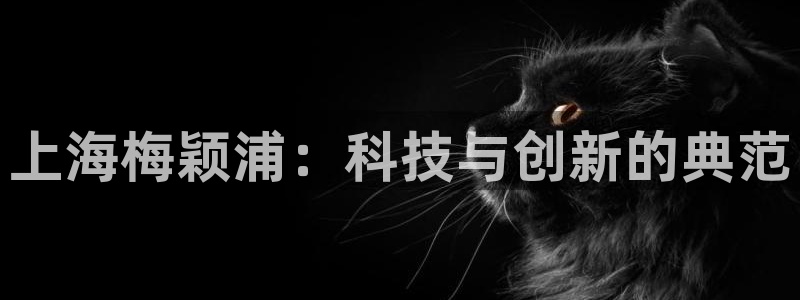 天宏娱乐的王叔：上海梅颖浦：科技与创新的典范