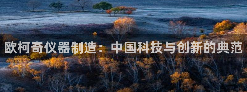 天宏娱乐老板是谁：欧柯奇仪器制造：中国科技与创新的典范