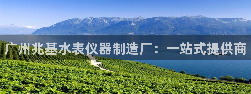 天宏娱乐天跃传媒：广州兆基水表仪器制造厂：一站式提供商