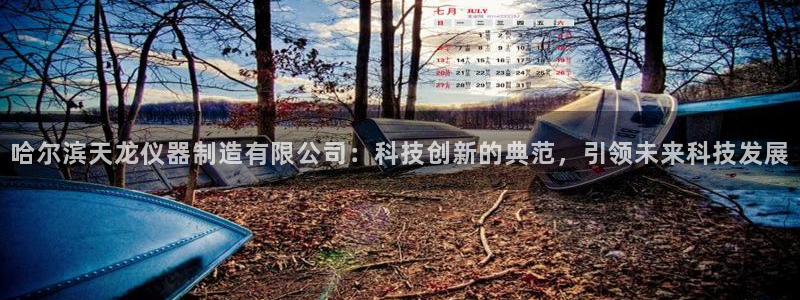 天宏娱乐关先生：哈尔滨天龙仪器制造有限公司：科技创新的典范，