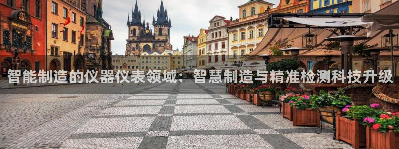 天宏3娱乐登录：智能制造的仪器仪表领域：智慧制造与精准检测科