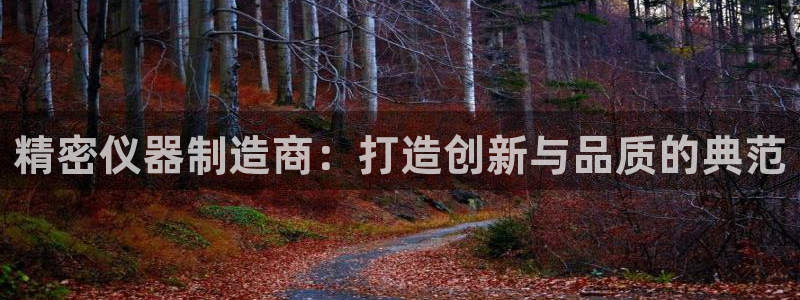 天宏娱乐是正规的吗：精密仪器制造商：打造创新与品质的典范