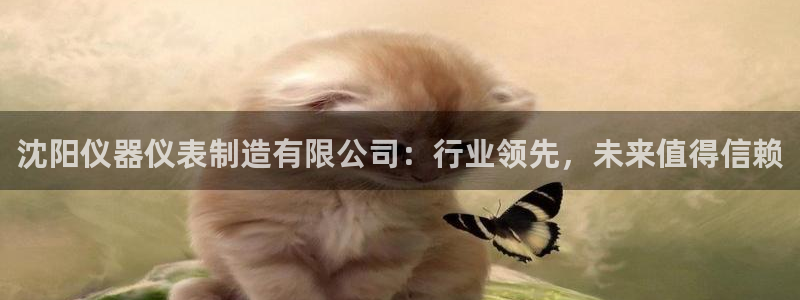 天宏娱乐平叔：沈阳仪器仪表制造有限公司：行业领先，未来值得信