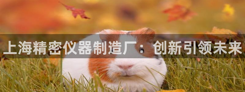 天宏娱乐军叔：上海精密仪器制造厂：创新引领未来