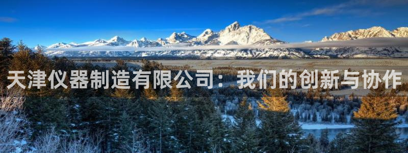 天宏娱乐有明星么：天津仪器制造有限公司：我们的创新与协作