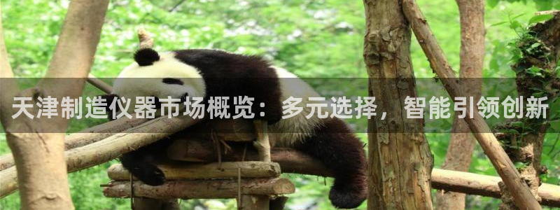 天宏娱乐登入：天津制造仪器市场概览：多元选择，智能引领创新