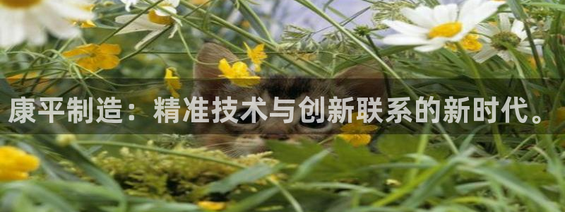 天宏2娱乐主管：康平制造：精准技术与创新联系的新时代。