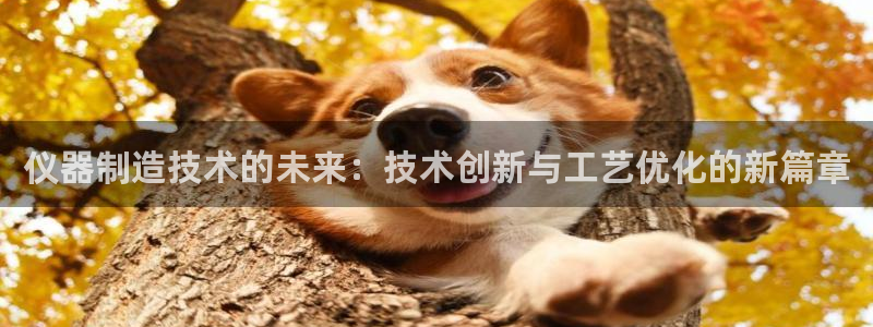 天宏娱乐登录网址：仪器制造技术的未来：技术创新与工艺优化的新